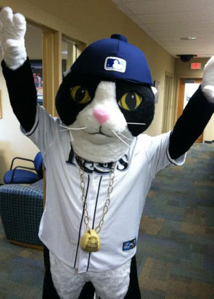 MLB+team+reveals+bizzare+cat+mascot.jpg