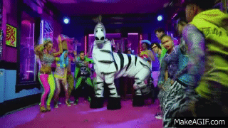 Zebra cain't stop Party Rockin on Make a GIF