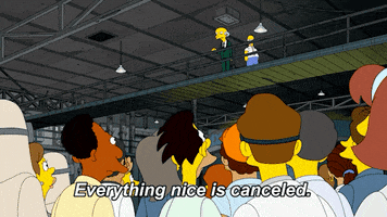 Cancel The Simpsons GIF by Animation Domination