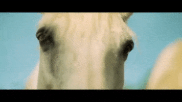 Slow Motion Whatever GIF by Polyvinyl Records