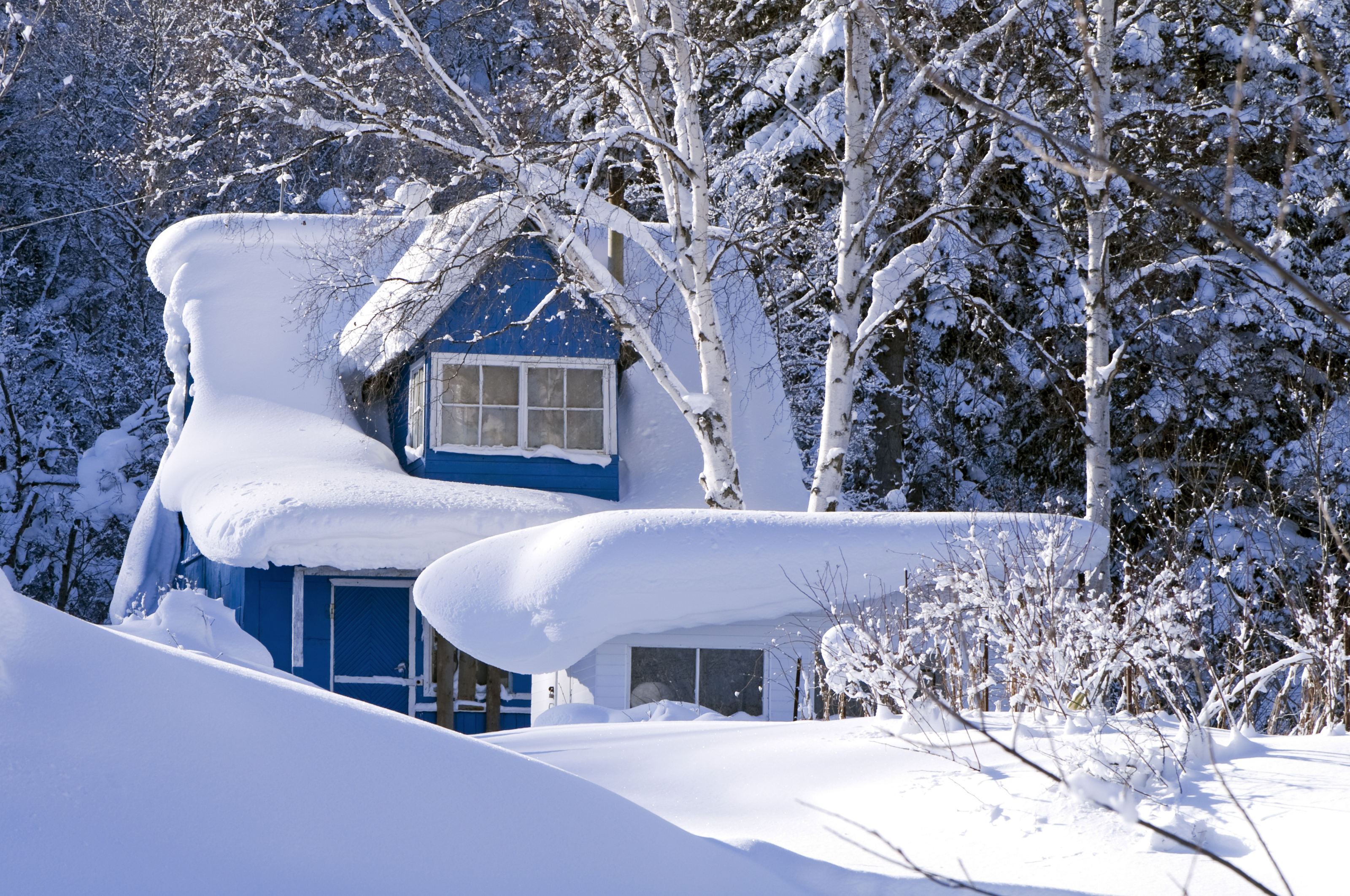 How Do You Remove Snow From Your Roof? | Snow Removal